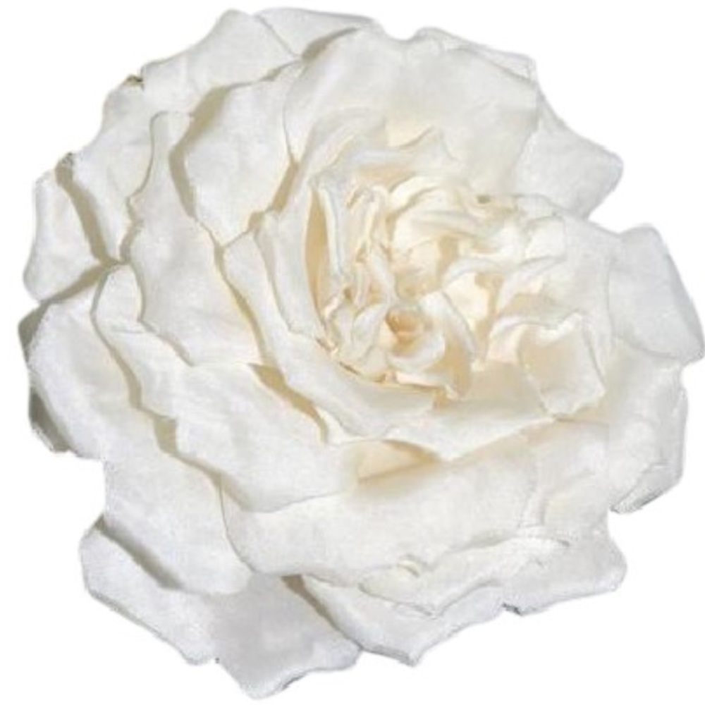 Auth CHANEL Cream Silk Camellia Rose Brooch NWOT