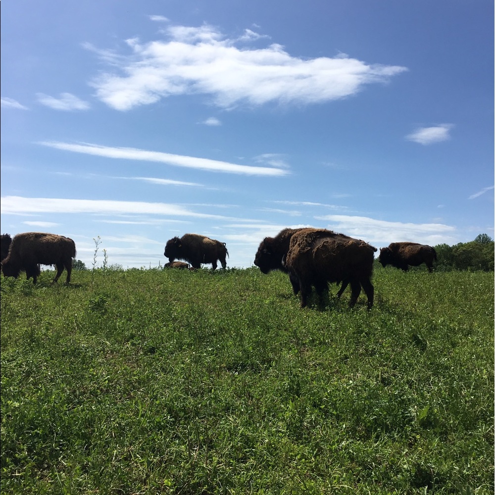 Meet your Posher, Colleen