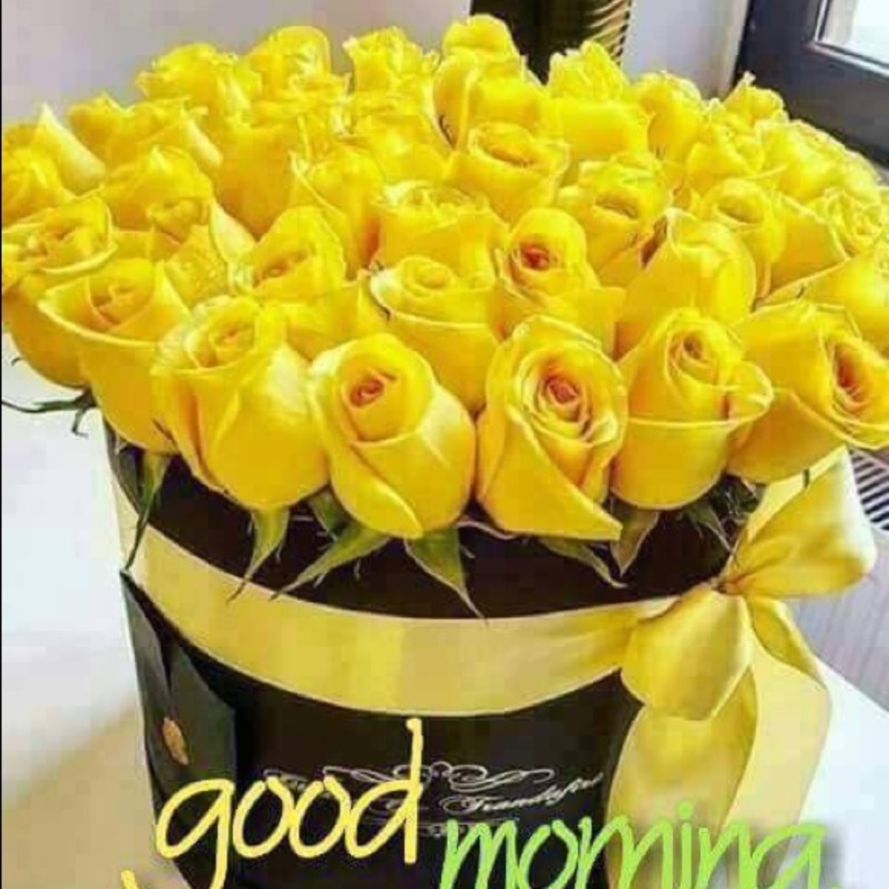 Meet your Posher, Marfield