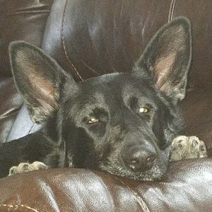 Meet your Posher, Seth