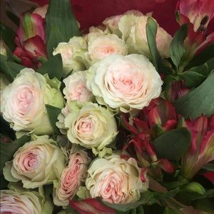 Meet your Posher, Kelby