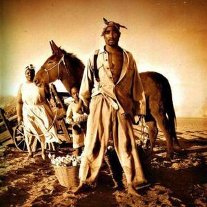 Meet your Posher, Isaac