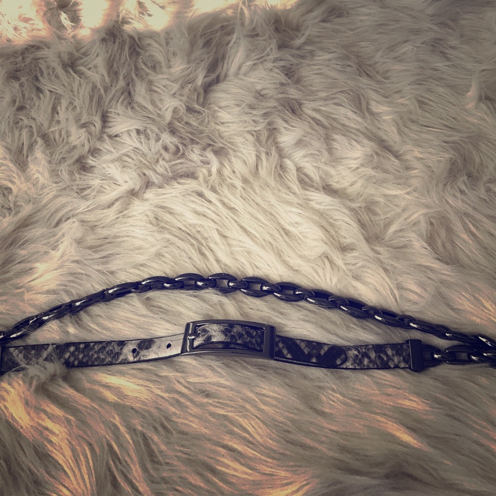 Cache belt - Picture 2 of 4