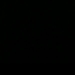 Meet your Posher, Nelly