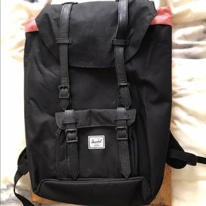 Hershel large backpack