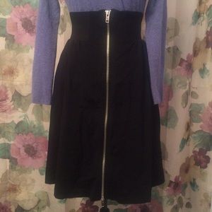Nasty Gall Zip Skirt