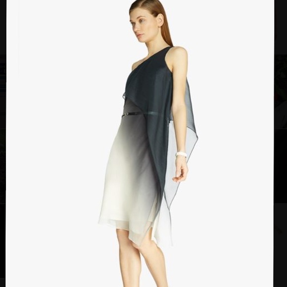 SOLD!!! HALSTON Crinkle Ombre One-Shoulder Dress - Picture 2 of 6