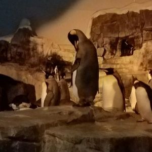 Meet your Posher, Lorie