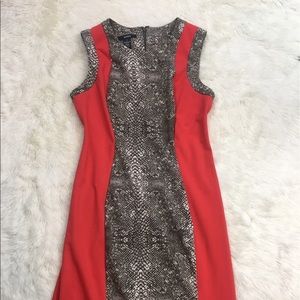 Alfani Sleeveless Orange and Snake Print Dress