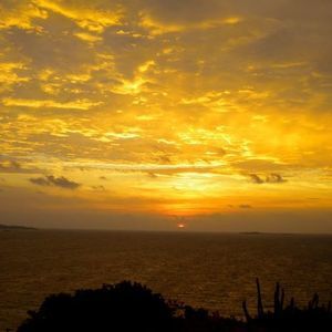 Meet your Posher, Marty