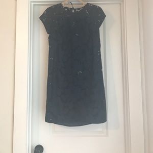 NWT LOFT lace navy shift dress