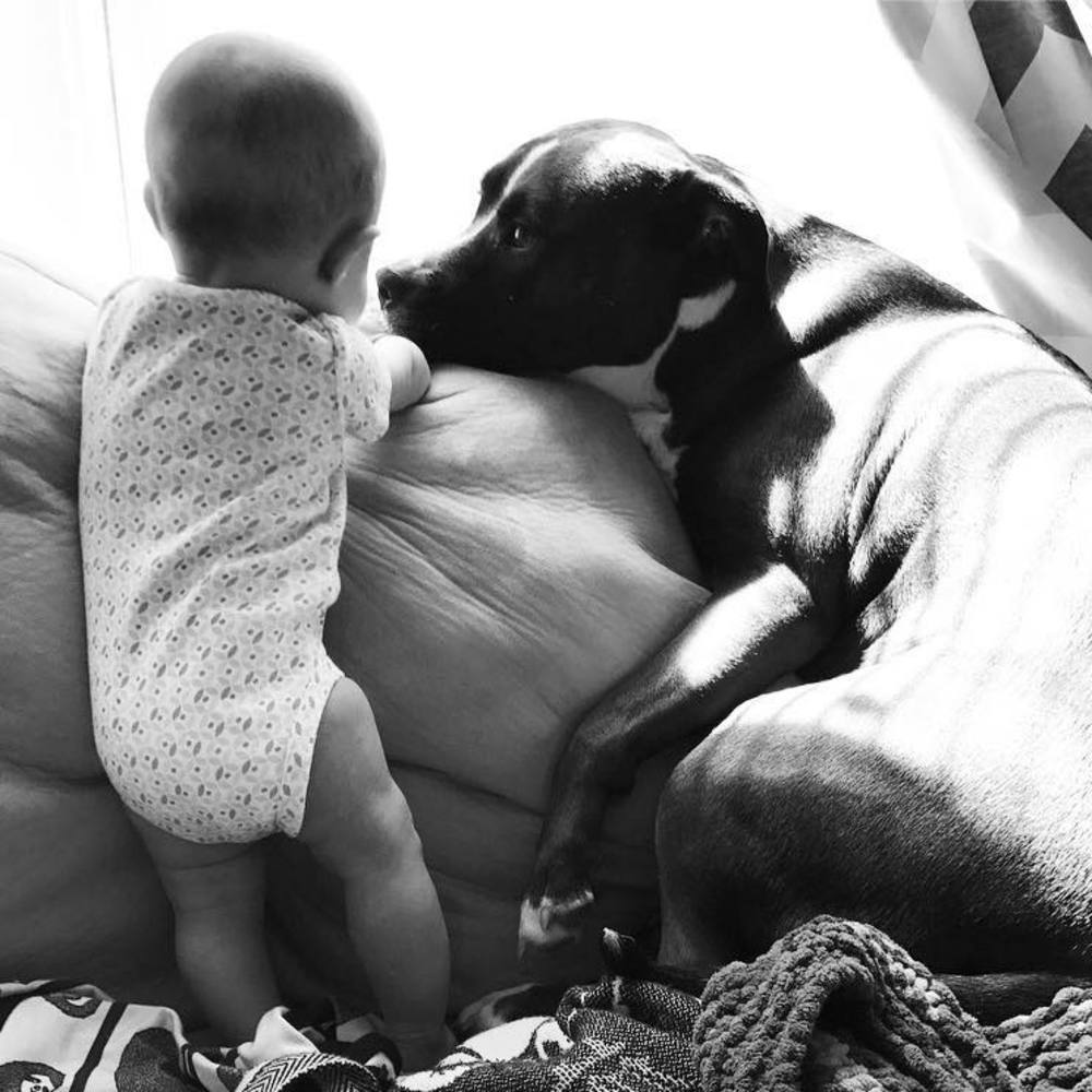 Meet your Posher, Munchie