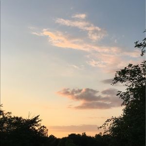 Meet your Posher, Daphne