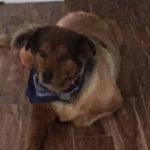 Meet your Posher, Danise