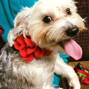 Meet your Posher, Tina