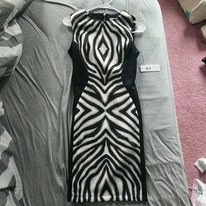 Zebra Business Dress