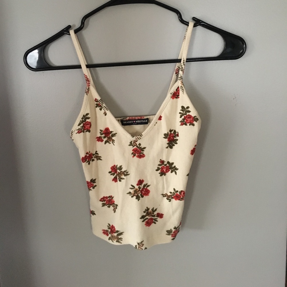 Brandy Melville floral crop top