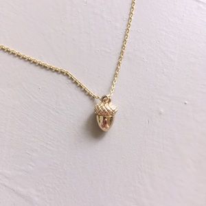Anthropologie Acorn Necklace