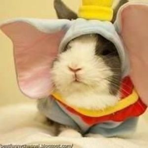 Meet your Posher, Roxanne