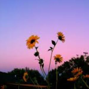 Meet your Posher, Jillian