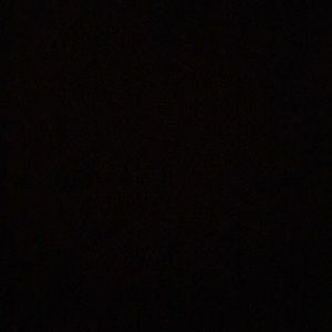 Meet your Posher, Tami