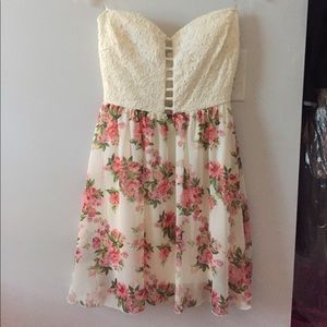 NWT Lace chiffon tube dress
