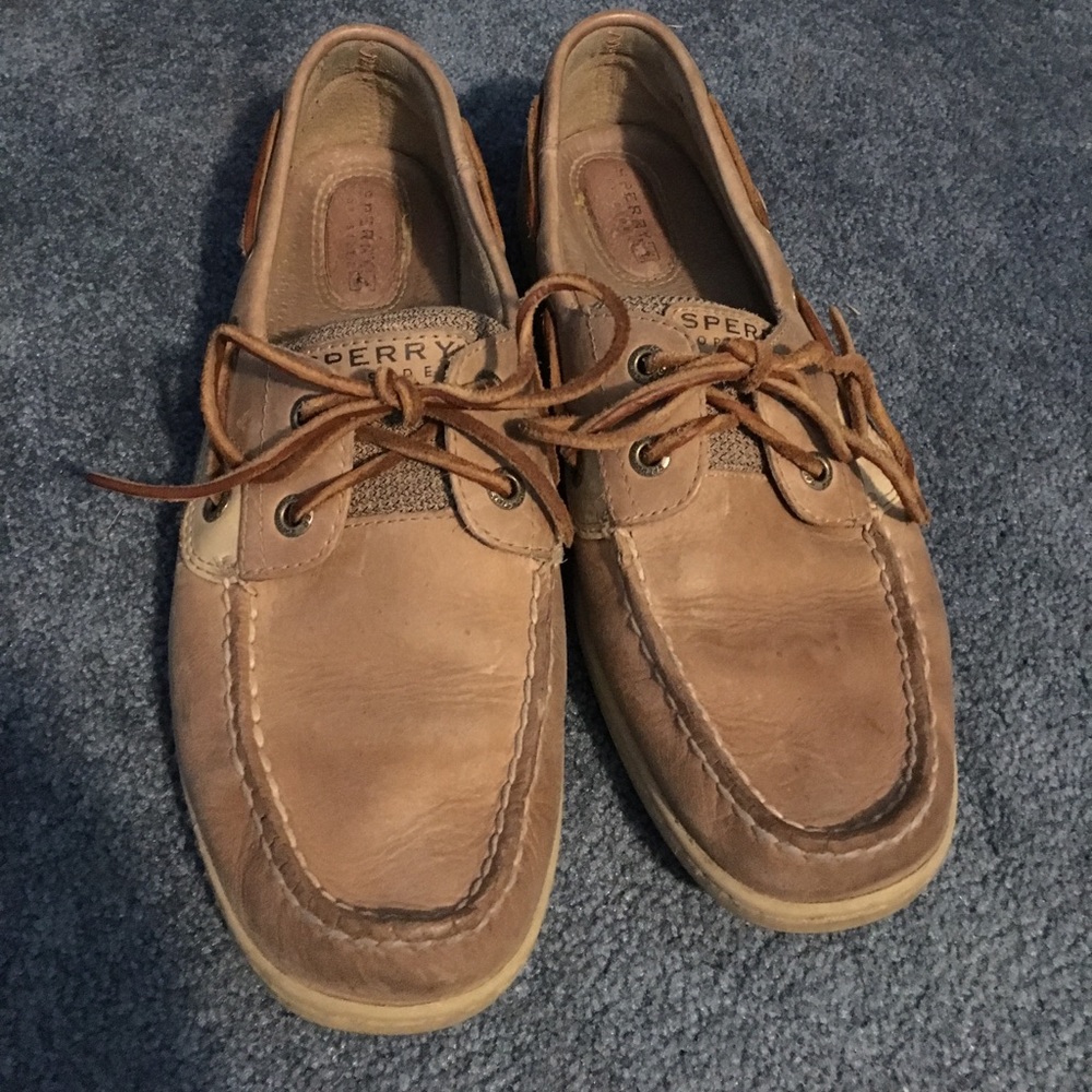 Bluefish Sperry
