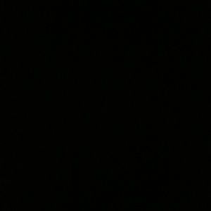 Meet your Posher, Shelly