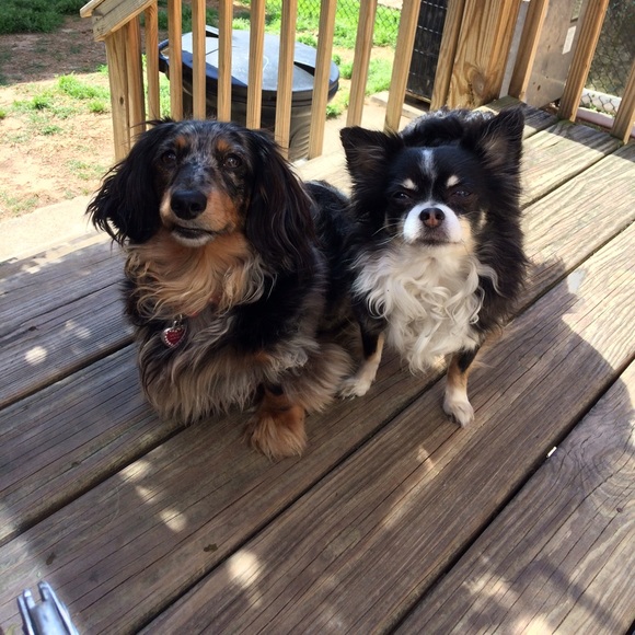 Meet your Posher, Marey (Mugsy j) - Picture 6 of 16