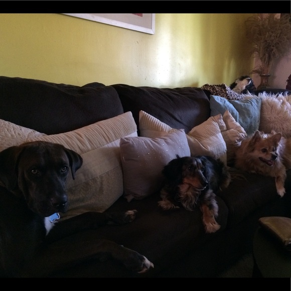 Meet your Posher, Marey (Mugsy j) - Picture 7 of 16