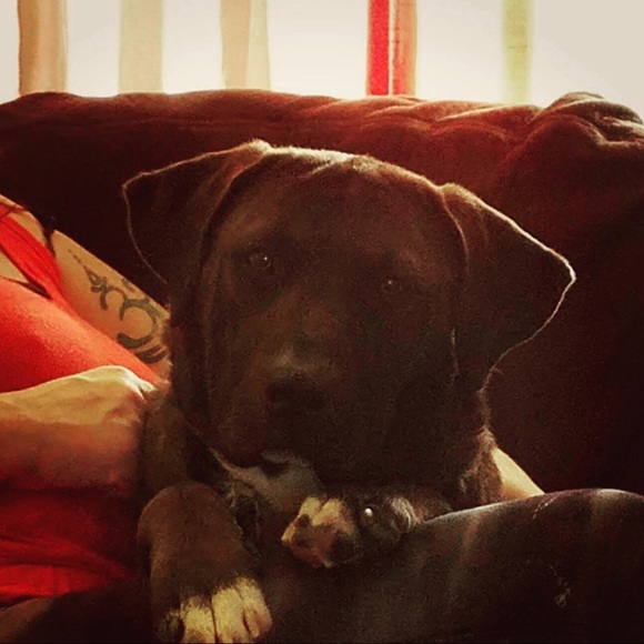 Meet your Posher, Marey (Mugsy j) - Picture 8 of 16