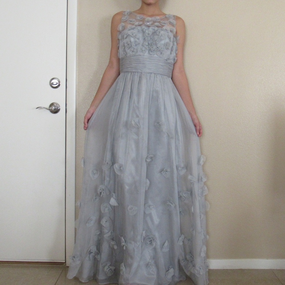 Gray Embellished Gown - Picture 2 of 8