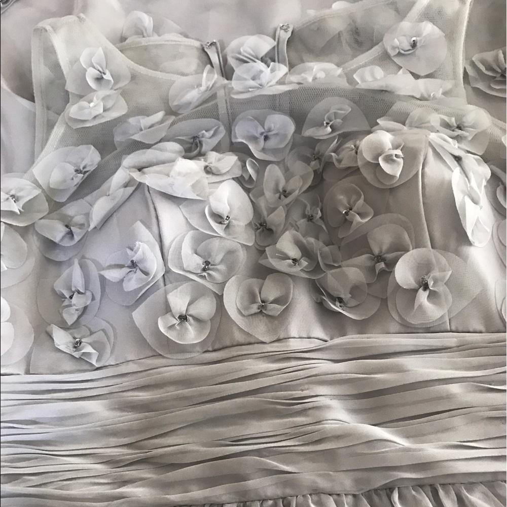 Gray Embellished Gown - Picture 6 of 8