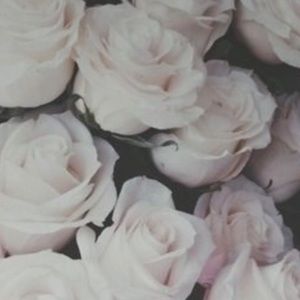 Meet your Posher, Shivana