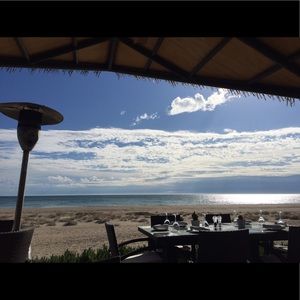 Meet your Posher, Arlene