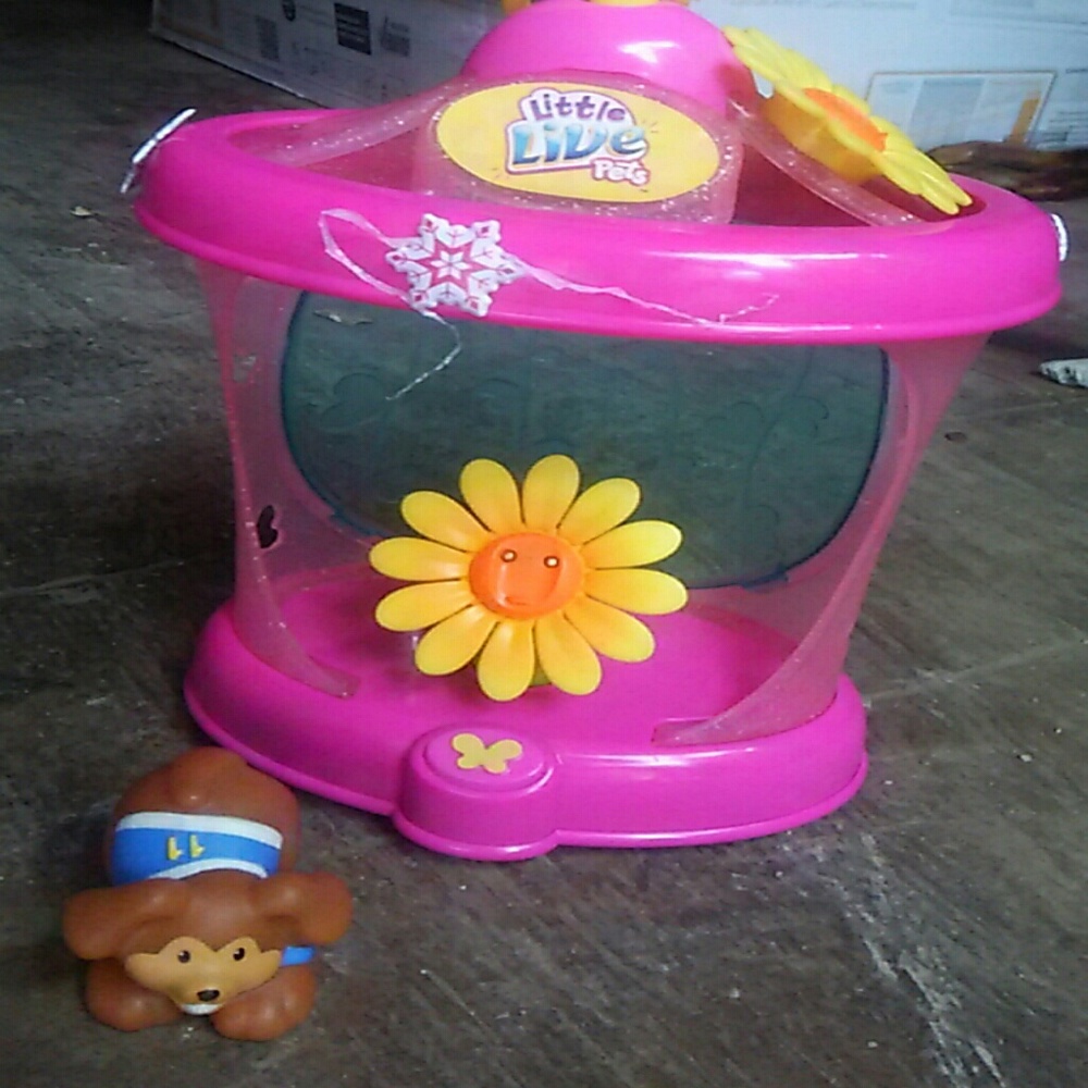 Little live pet's