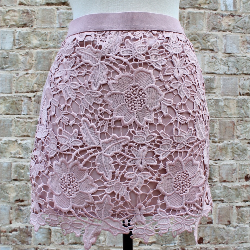 Pale Pink Lace Skirt