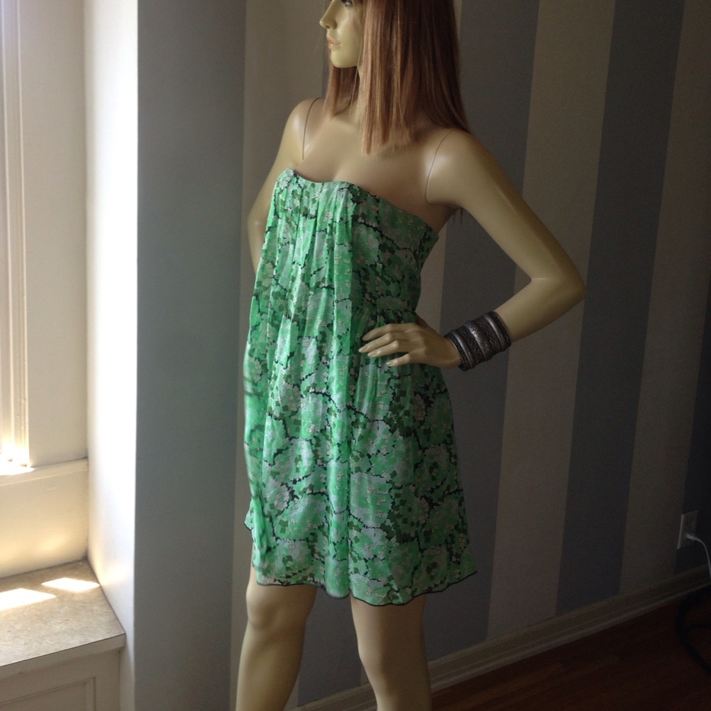 Anna Sui Silk Chiffon sundress