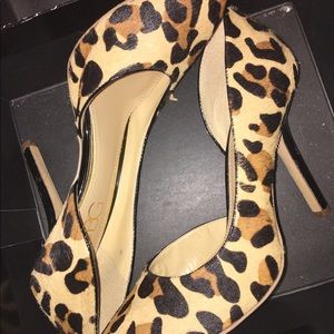 BCBG Cheetah Herls