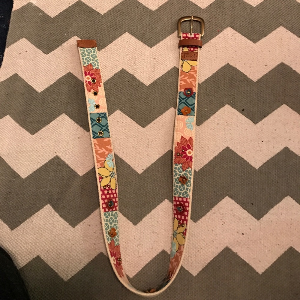 Fossil belt