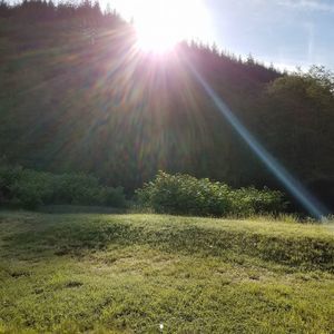 Meet your Posher, Debby