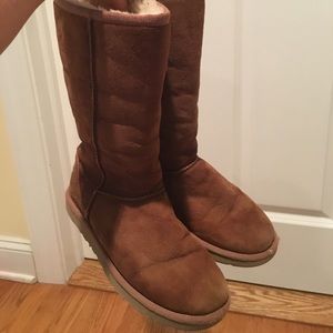 Women's five tall ugg in chestnut