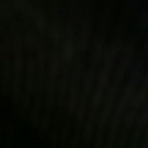 Meet your Posher, Jorge