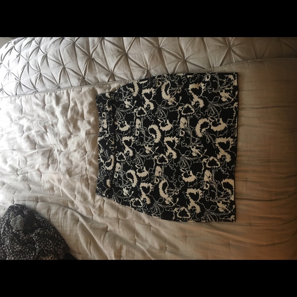 Rag and Bone skirt