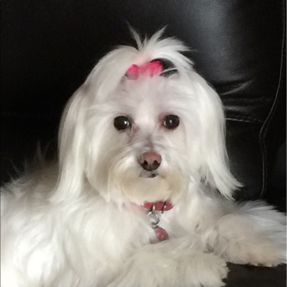 Meet your Posher, C - Picture 3 of 8