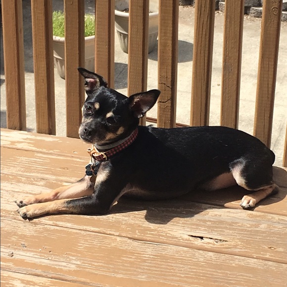 Meet your Posher, C - Picture 2 of 8