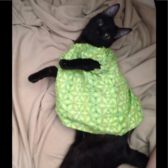 Meet your Posher, Sophie - Picture 3 of 3