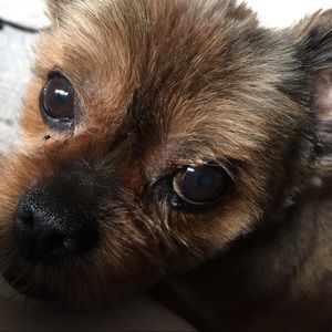 Meet your Posher, Nancy