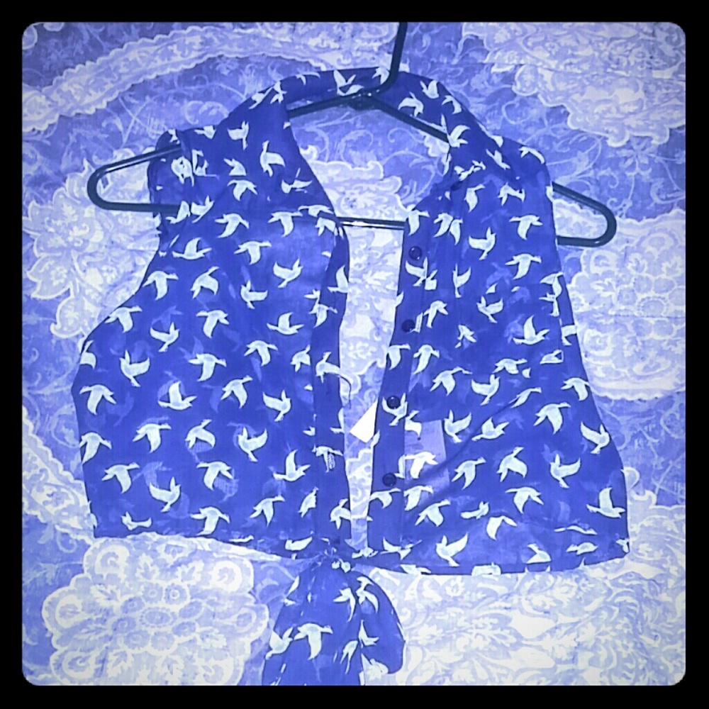 Sheer bird crop top