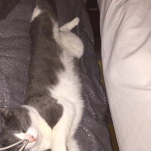 Meet your Posher, Linda